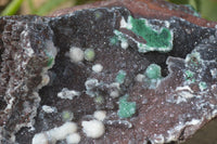Natural Drusy Coated Ball Malachite On Dolomite Specimen  x 1 From Likasi, Congo - Toprock Gemstones and Minerals 