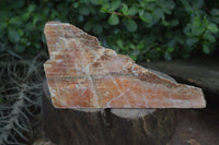 Natural New Sunset Orange Calcite Specimens  x 3 From Spitzkop, Namibia - Toprock Gemstones and Minerals 