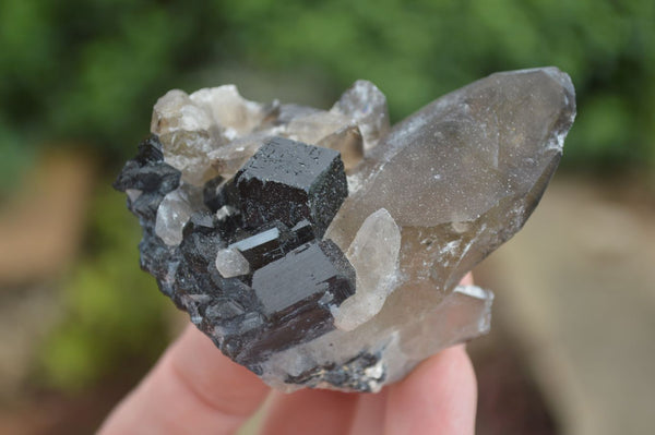 Natural Schorl Black Tourmaline Specimens With Hyalite Opal x 6 From Erongo Mountains, Namibia