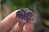 Natural Smokey Window Amethyst Crystals  x 35 From Chiredzi, Zimbabwe - Toprock Gemstones and Minerals 