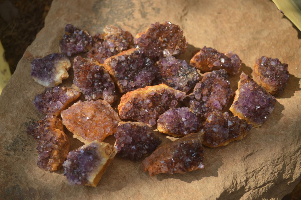 Natural Small Dark "Amethystos" Amethyst Clusters  x 35 From Kwaggafontein, South Africa - Toprock Gemstones and Minerals 