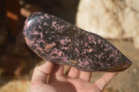 Polished  Pink & Black Rhodonite Standing Free Form x 1 From Madagascar - Toprock Gemstones and Minerals 
