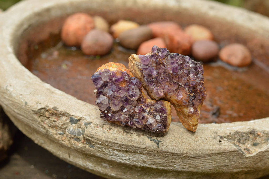 Natural Small Dark "Amethystos" Amethyst Clusters x 35 From Kwaggafontein, South Africa - TopRock