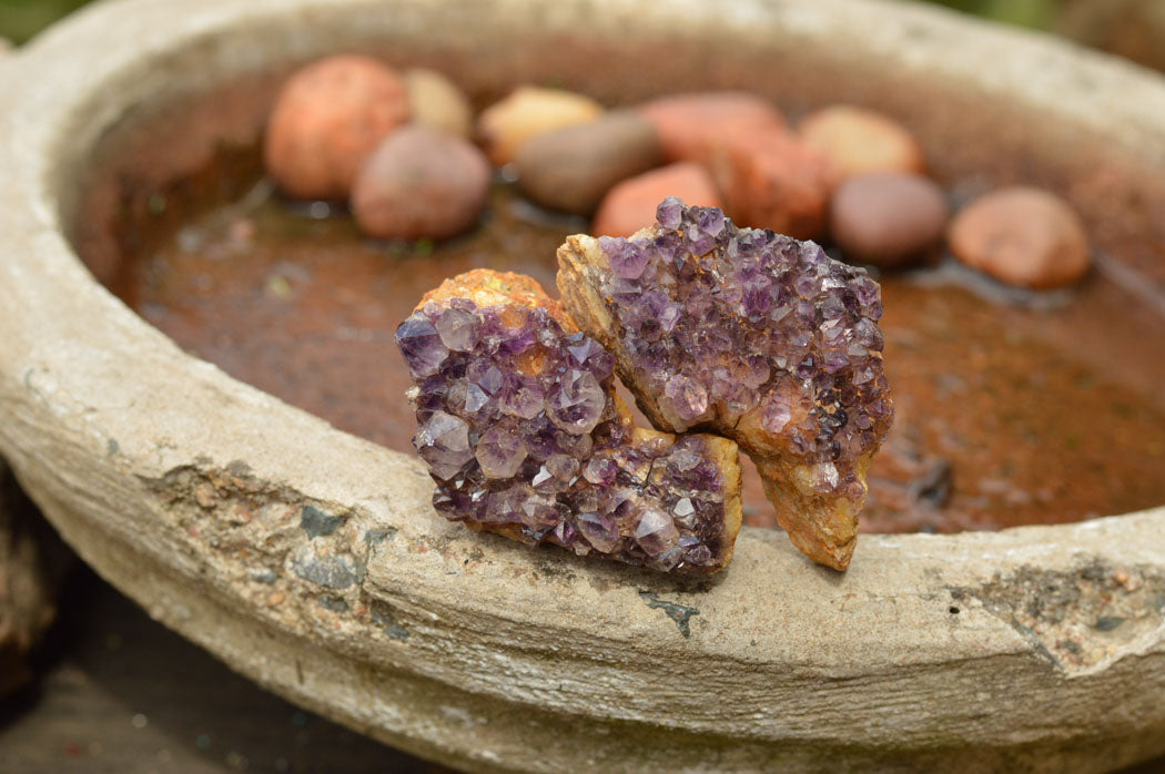 Natural Small Dark "Amethystos" Amethyst Clusters x 35 From Kwaggafontein, South Africa - TopRock