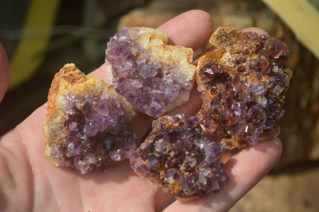 Natural Small Dark "Amethystos" Amethyst Clusters  x 35 From Kwaggafontein, South Africa - Toprock Gemstones and Minerals 
