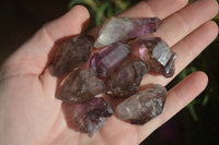 Natural Small Amethyst Window Quartz Crystals  x 35 From Chiredzi, Zimbabwe - Toprock Gemstones and Minerals 
