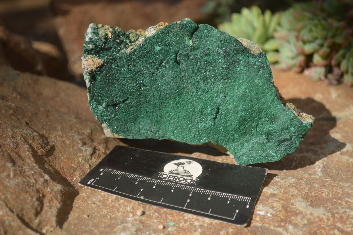 Natural Crystalline Malachite Specimens  x 3 From Congo - Toprock Gemstones and Minerals 