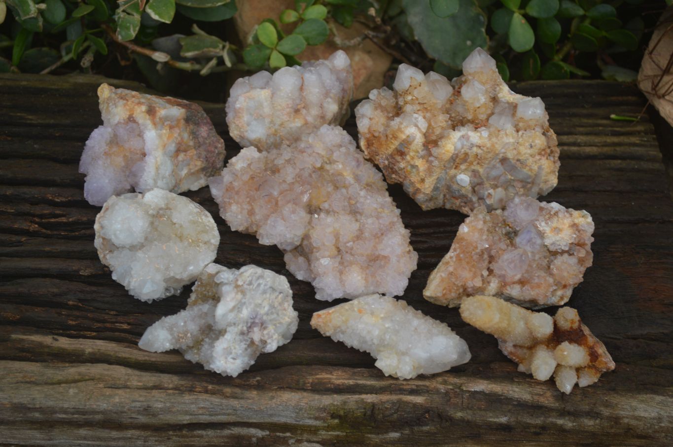 Natural Spirit Quartz Clusters x 9 From Boekenhouthoek, South Africa - Toprock Gemstones and Minerals 