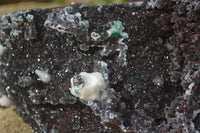 Natural Drusy Coated Ball Malachite On Dolomite Specimen  x 1 From Likasi, Congo - Toprock Gemstones and Minerals 