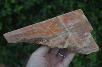 Natural New Sunset Orange Calcite Specimens  x 3 From Spitzkop, Namibia - Toprock Gemstones and Minerals 