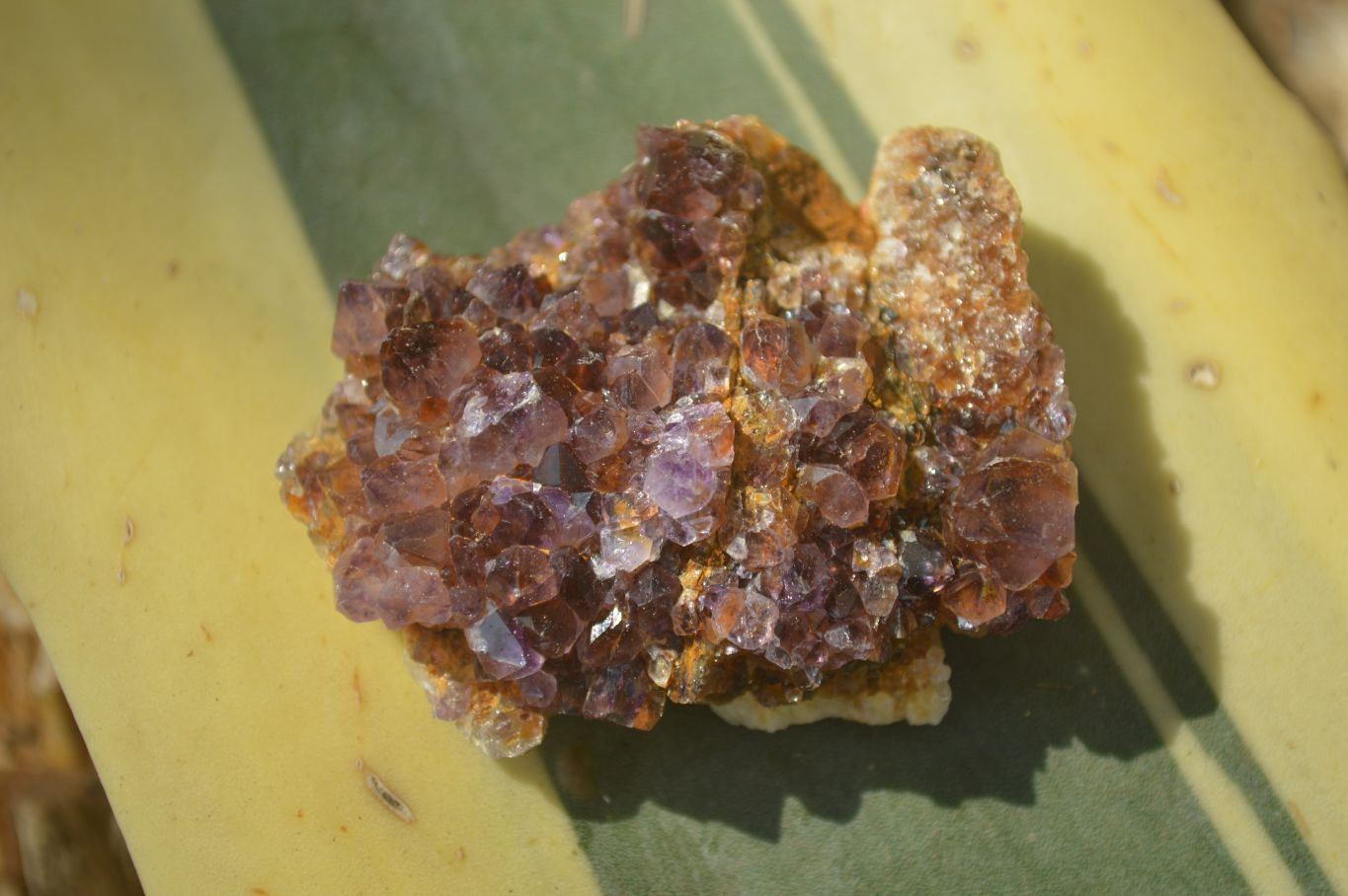 Natural Small Dark "Amethystos" Amethyst Clusters  x 35 From Kwaggafontein, South Africa - Toprock Gemstones and Minerals 