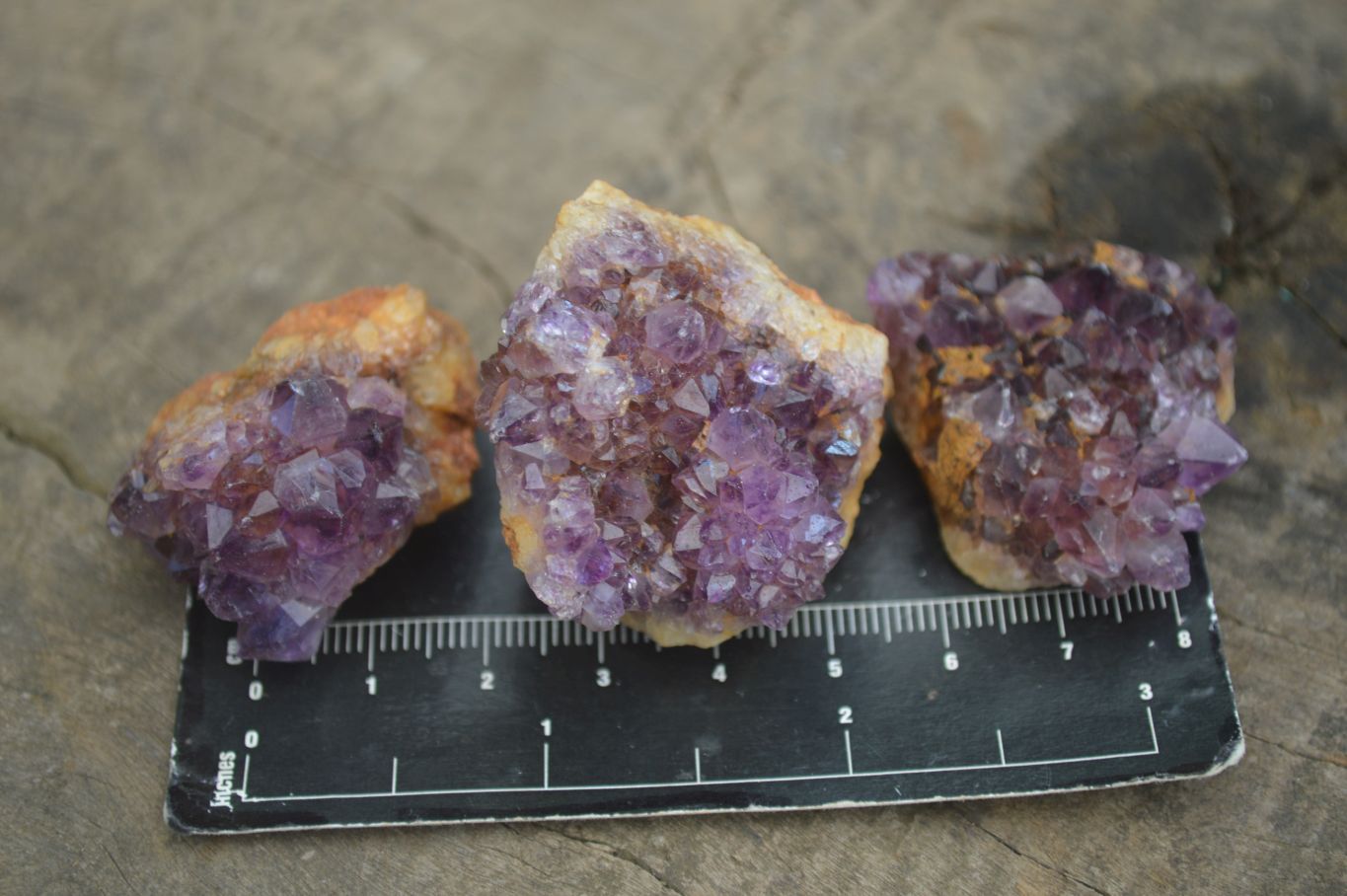 Natural Small Dark "Amethystos" Amethyst Clusters  x 35 From Kwaggafontein, South Africa - Toprock Gemstones and Minerals 