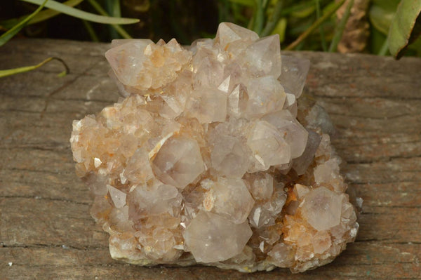 Natural Spirit Cactus Quartz Clusters x 2 From Southern Africa - TopRock