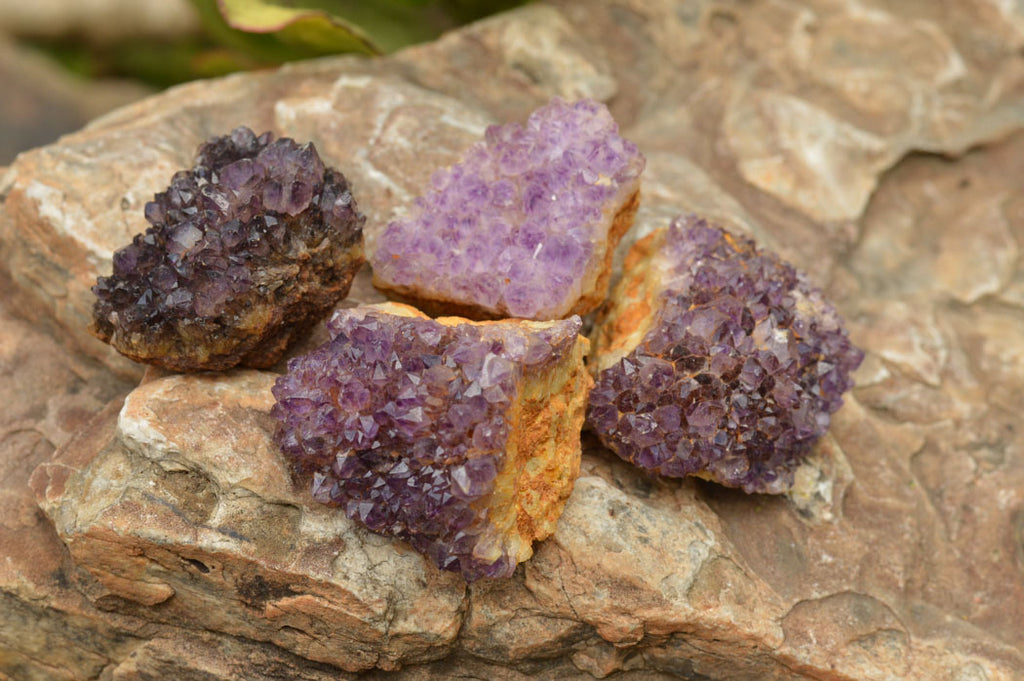 Natural Small Dark "Amethystos" Amethyst Clusters x 35 From Kwaggafontein, South Africa - TopRock