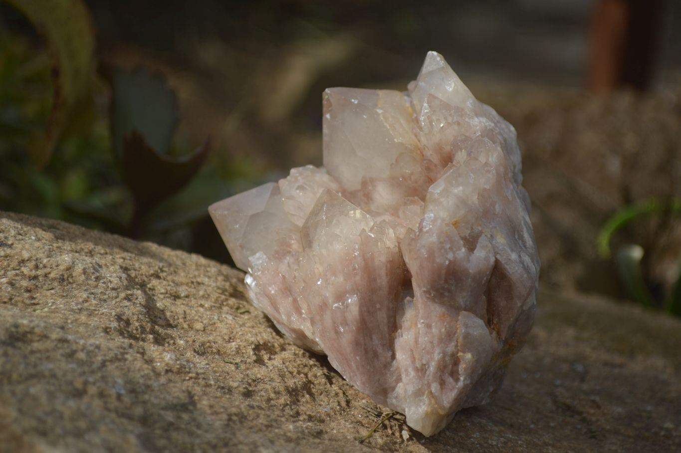 Natural Smokey Quartz Clusters x 3 From Luena, Congo - Toprock Gemstones and Minerals 
