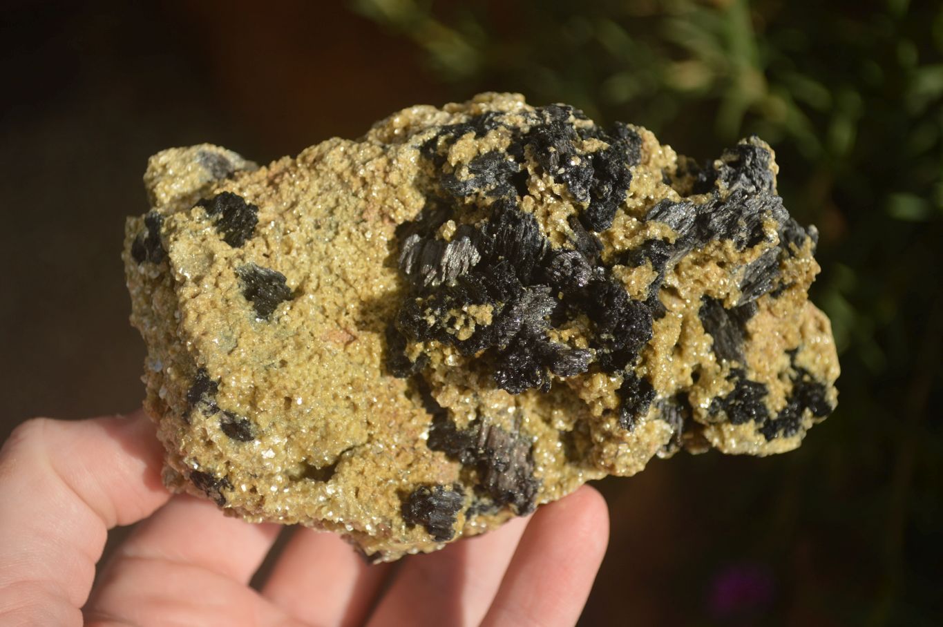 Natural Schorl Black Tourmaline Specimens  x 3 From Erongo, Namibia - Toprock Gemstones and Minerals 