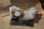 Natural Spirit Quartz Clusters x 9 From Boekenhouthoek, South Africa - Toprock Gemstones and Minerals 