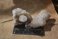 Natural Spirit Quartz Clusters x 9 From Boekenhouthoek, South Africa - Toprock Gemstones and Minerals 