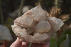Natural Smokey Quartz Clusters x 3 From Luena, Congo - Toprock Gemstones and Minerals 