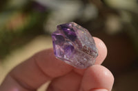 Natural Small Amethyst Window Quartz Crystals  x 35 From Chiredzi, Zimbabwe - Toprock Gemstones and Minerals 