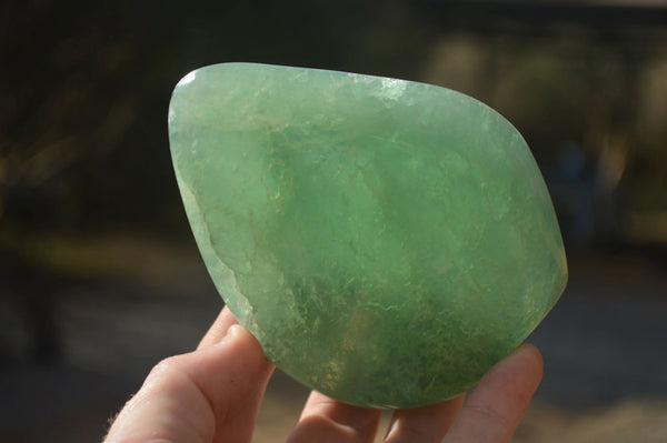 Polished  Green Fluorite Standing Free Forms  x 2 From Madagascar - Toprock Gemstones and Minerals 