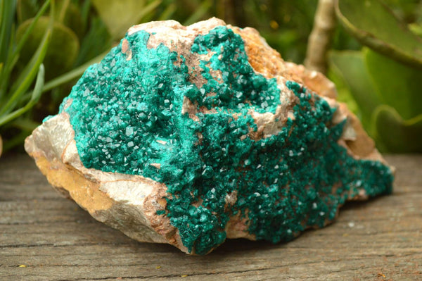 Natural XXL Stunning Dioptase Specimen With Big Emerald Green Crystals x 1 From Congo - TopRock