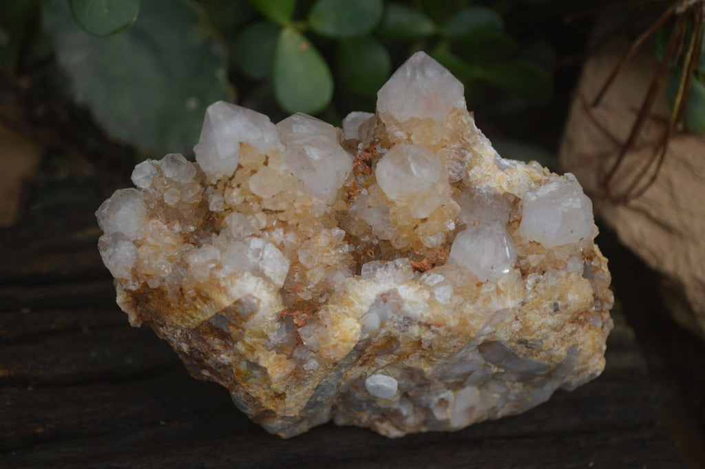 Natural Spirit Quartz Clusters x 9 From Boekenhouthoek, South Africa - Toprock Gemstones and Minerals 