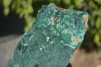 Natural Micro Botryoidal Crystalline Malachite Specimens  x 3 From Congo - Toprock Gemstones and Minerals 