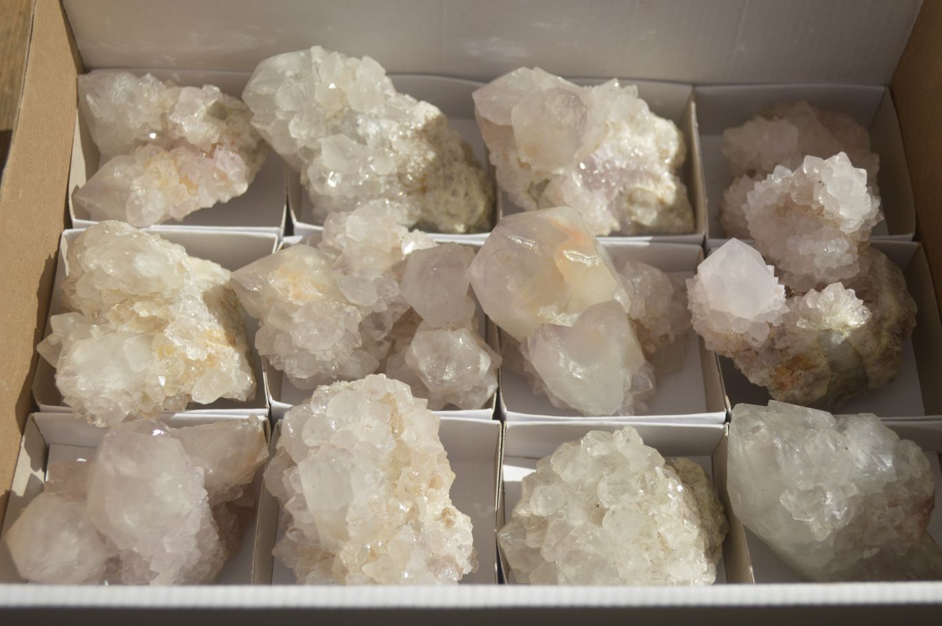 Natural Large White Cactus Flower Spirit Quartz Clusters x 12 From Boekenhouthoek, South Africa - Toprock Gemstones and Minerals 