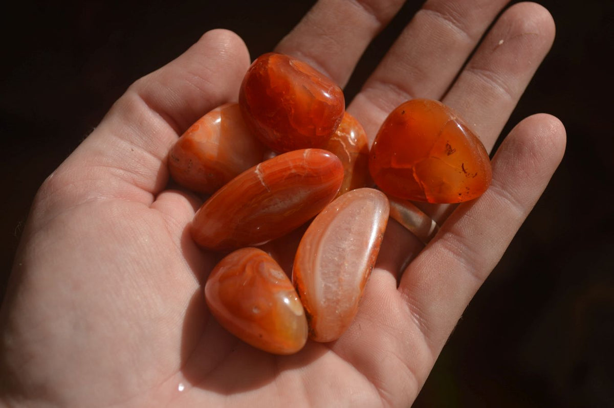 Polished  Carnelian Agate Tumble Stones  x 1 Kg Lot From Madagascar - Toprock Gemstones and Minerals 