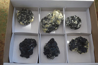Natural Schorl Black Tourmaline Specimens  x 6 From Erongo, Namibia - Toprock Gemstones and Minerals 