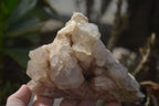 Natural Smokey Quartz Clusters x 3 From Luena, Congo - Toprock Gemstones and Minerals 
