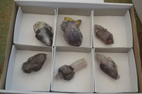 Natural Large Smokey Window Amethyst Specimens  x 6 From Chiredzi, Zimbabwe - Toprock Gemstones and Minerals 