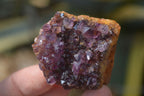 Natural Small Dark "Amethystos" Amethyst Clusters  x 35 From Kwaggafontein, South Africa - Toprock Gemstones and Minerals 