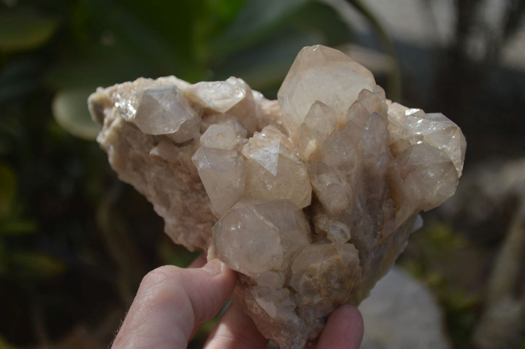 Natural Smokey Quartz Clusters x 3 From Luena, Congo - Toprock Gemstones and Minerals 