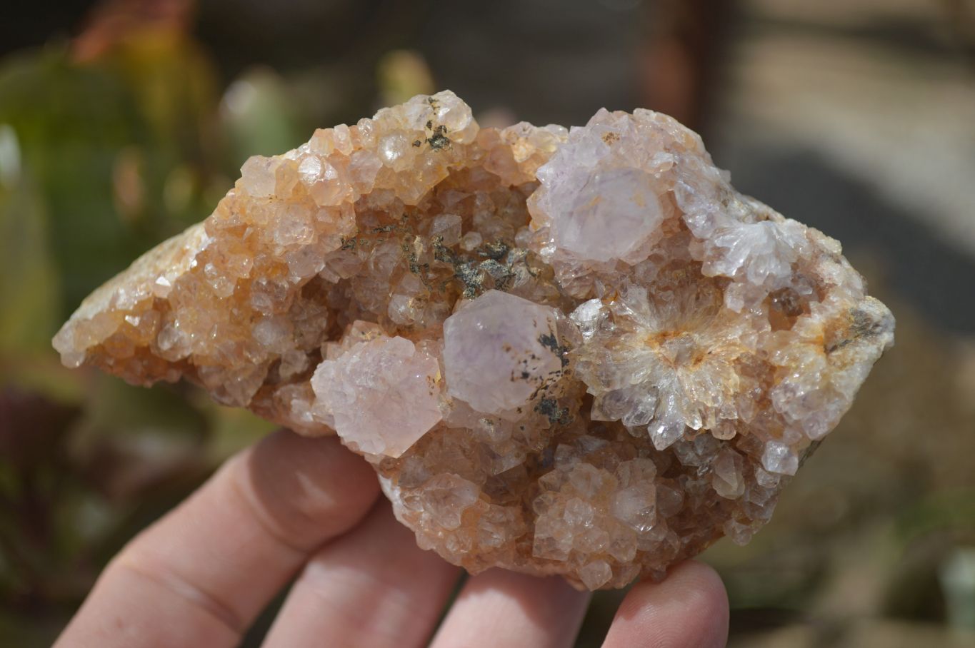 Natural Spirit Quartz Clusters x 9 From Boekenhouthoek, South Africa - Toprock Gemstones and Minerals 