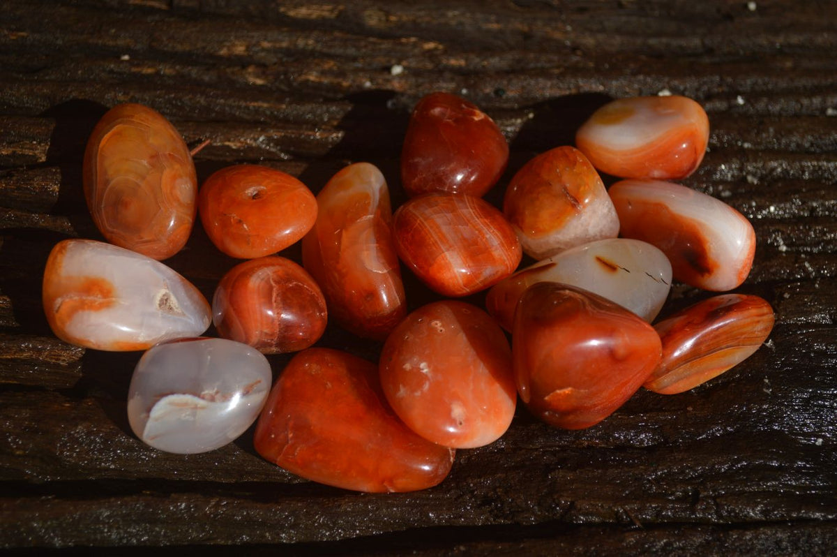 Polished  Carnelian Agate Tumble Stones  x 1 Kg Lot From Madagascar - Toprock Gemstones and Minerals 