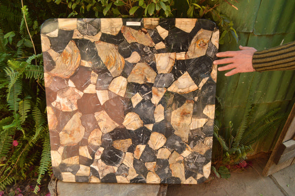 Polished Unusual Black & White Petrified Wood Table Top x 1 From Madagascar - TopRock