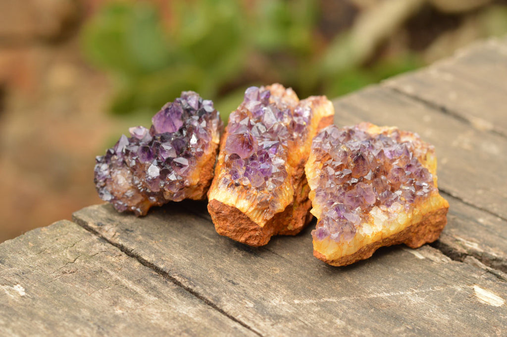 Natural Small Dark "Amethystos" Amethyst Clusters x 35 From Kwaggafontein, South Africa - TopRock
