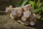 Natural Spirit Quartz Clusters x 9 From Boekenhouthoek, South Africa - Toprock Gemstones and Minerals 