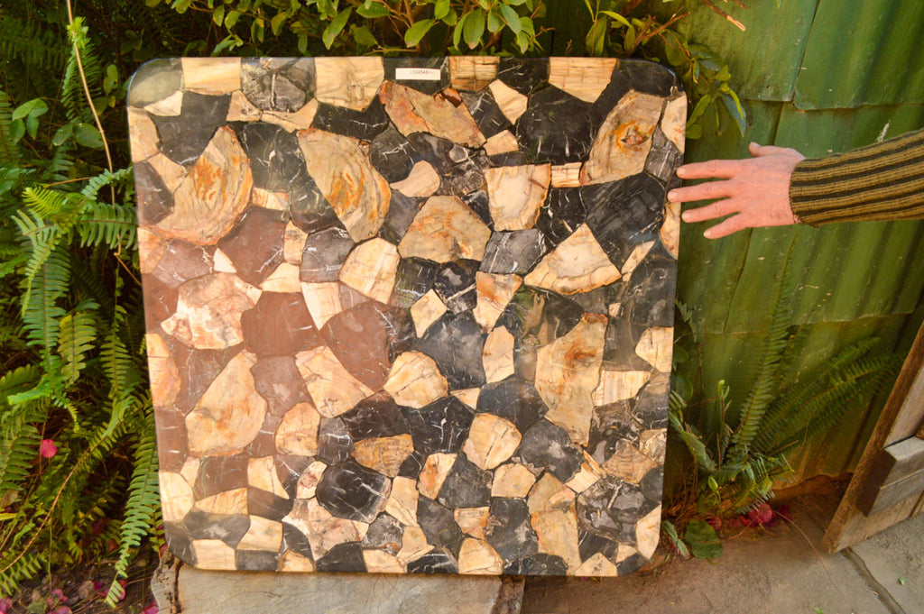 Polished Unusual Black & White Petrified Wood Table Top x 1 From Madagascar - Toprock Gemstones and Minerals 