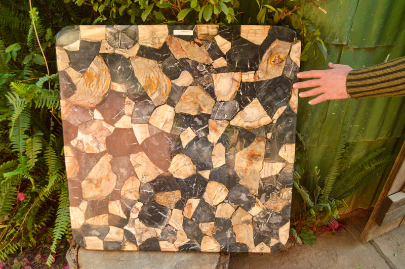 Polished Unusual Black & White Petrified Wood Table Top x 1 From Madagascar - Toprock Gemstones and Minerals 