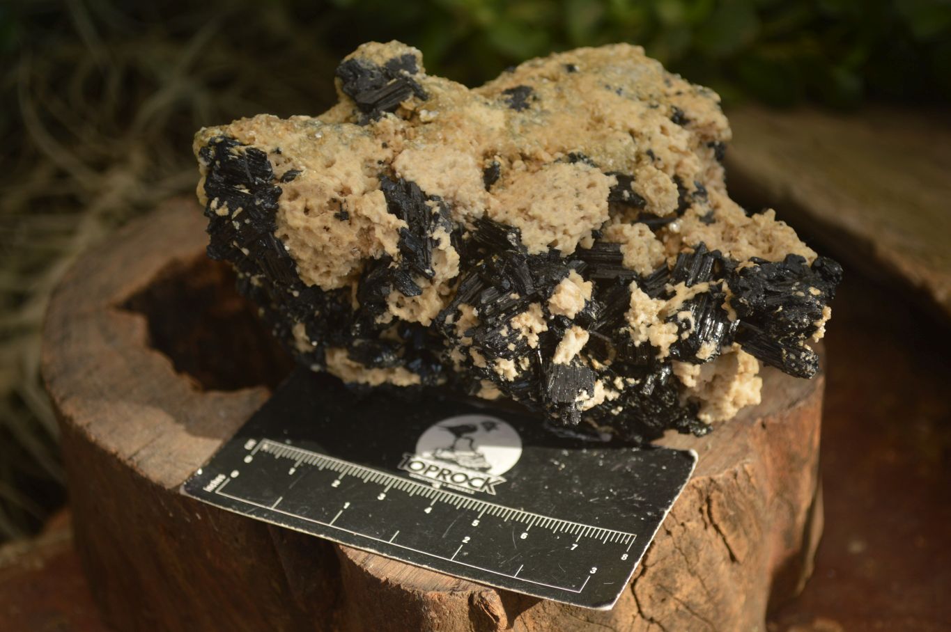 Natural Schorl Black Tourmaline Specimens  x 3 From Erongo, Namibia - Toprock Gemstones and Minerals 