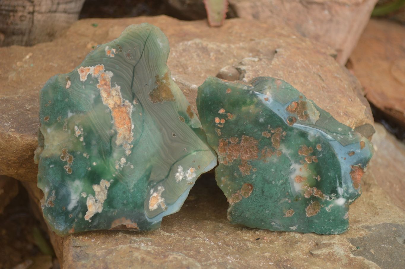Polished On One Side Emerald Mtorolite Plates x 3 From Mutorashanga, Zimbabwe - Toprock Gemstones and Minerals 