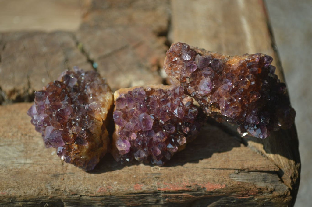 Natural Small Dark "Amethystos" Amethyst Clusters  x 35 From Kwaggafontein, South Africa - Toprock Gemstones and Minerals 