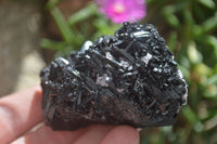Natural Schorl Black Tourmaline Specimens  x 6 From Erongo, Namibia - Toprock Gemstones and Minerals 