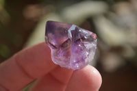 Natural Small Amethyst Window Quartz Crystals  x 35 From Chiredzi, Zimbabwe - Toprock Gemstones and Minerals 