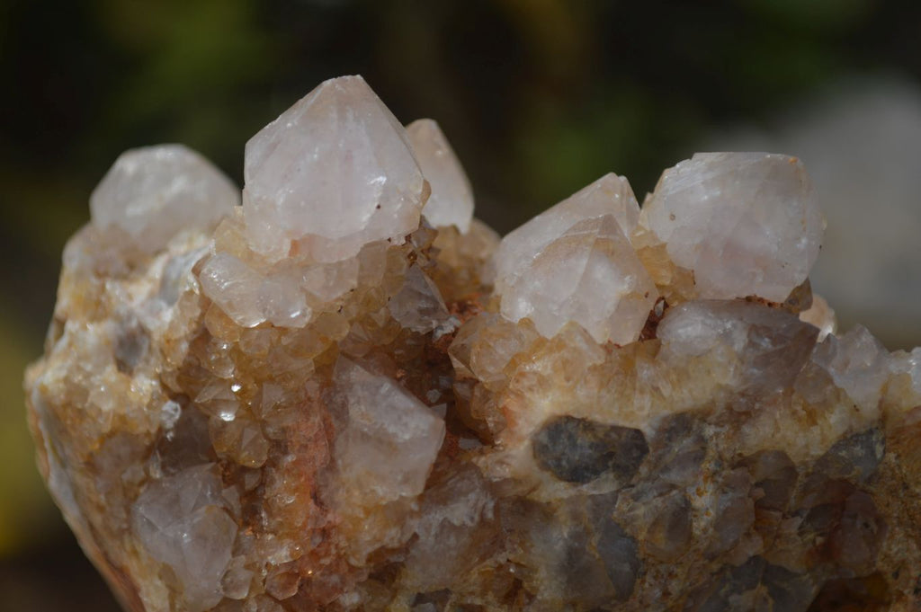 Natural Spirit Quartz Clusters x 9 From Boekenhouthoek, South Africa - Toprock Gemstones and Minerals 
