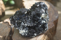 Natural Schorl Black Tourmaline Specimens  x 6 From Erongo, Namibia - Toprock Gemstones and Minerals 