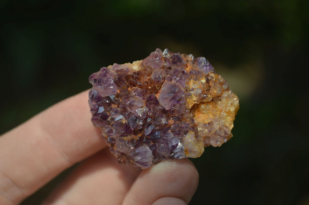 Natural Small Dark "Amethystos" Amethyst Clusters  x 35 From Kwaggafontein, South Africa - Toprock Gemstones and Minerals 